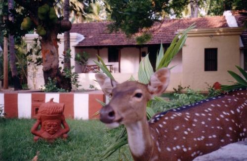 Kumbakonam Hotel | Indeco Hotels Swamimalai