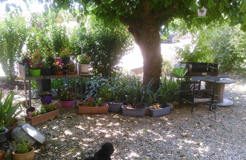 Lachapelle-sous-Aubenas House | INDEPENDENT HOUSE QUIET IN ARDECHE