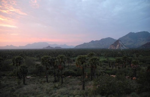 Nagercoil Resort | Indien Hermitage - A Resort -Kanyakumari