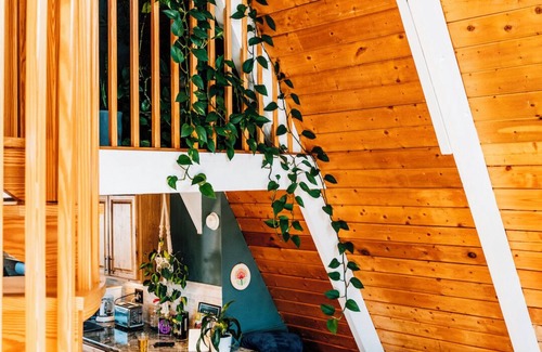 Divide Cabin | Indigo/Aframe- Hot Tub- Views!