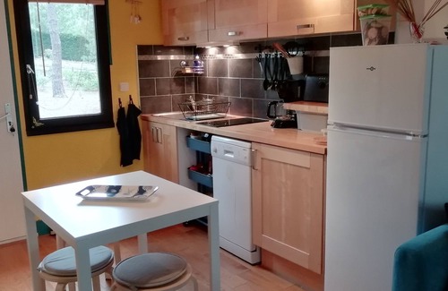 Maubuisson Ski Chalet | INDIVIDUAL CHALET FOR 4 PEOPLE IN THE VERY QUIET PINEDE