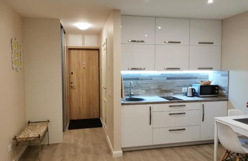 Klaipeda Apartment | InDream New Cosy Modern Studio