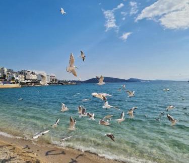 Sarande Apartment | Infinity Sea View Penthouse