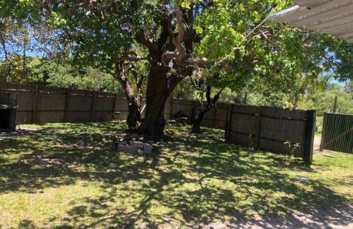 Inhaca Island Other | inhaka camping