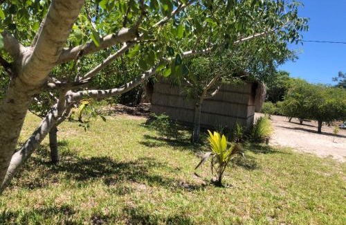 Inhaca Island Other | inhaka camping