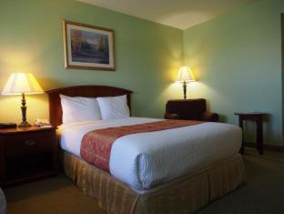 Galveston Hotel | Inn at the Waterpark
