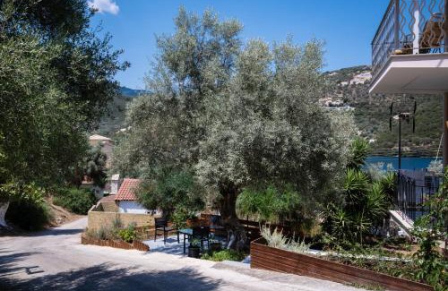 Sivota Apartment | Innamorata Sivota