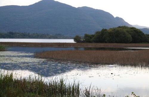 Killarney House | Innisfallen Holiday Homes by Trident Holiday Homes