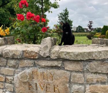 Ballycorkey Bed & Breakfast | Inny River Lodge