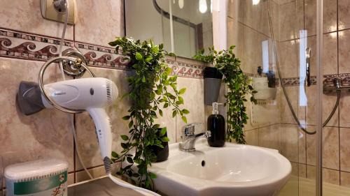 Brasov City Centre Apartment | Intimo OldTown Romantic Apartment
