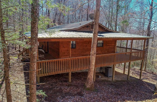Cosby Cabin | Into the Wild