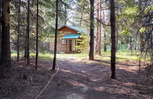 Troy Cabin | Into the Woods Cabin - Rare, Remote, Relaxing.