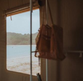 Singapore Other | Into the Woods Life