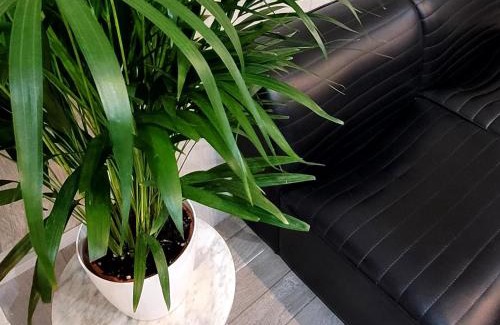 Las Palmas de Gran Canaria Apartment | Intrasuelo White en Las Palmas