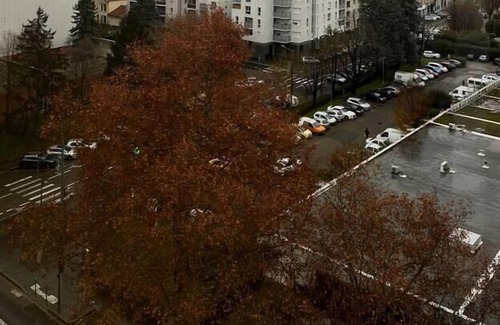 Perralliere Apartment | Inviting 1-Bed Studio in Villeurbanne