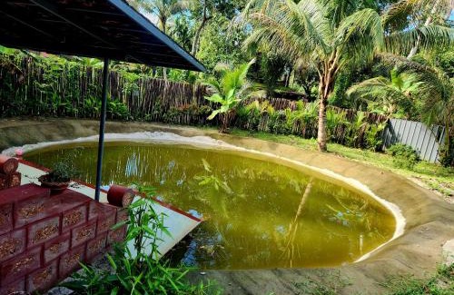 Cherthala House | Ira Marari-An escape to tranquility