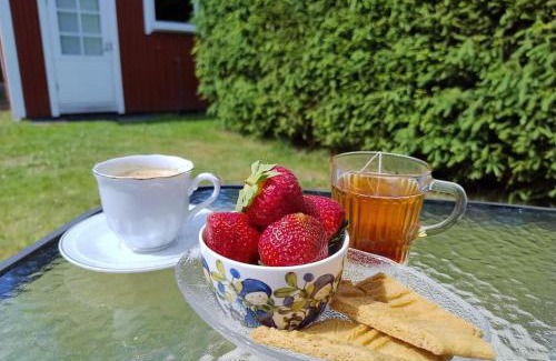 Raseborg Apartment | Ireneborg, cottage with Finnish sauna
