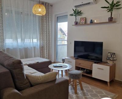 Brcko Apartment | Irina apartment