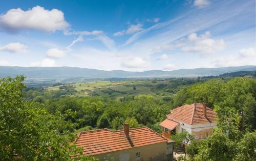 Central Serbia House | Irina