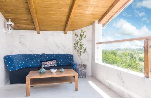 Central Serbia House | Irina