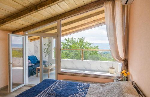 Central Serbia House | Irina