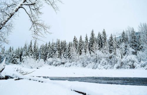Girdwood House | Iris Pond