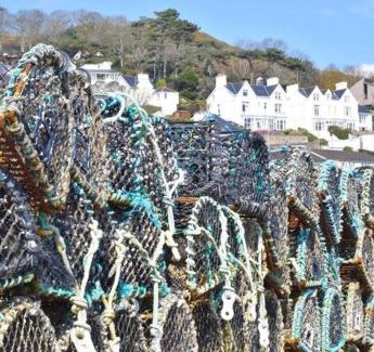 Aberdovey House | Isfryn, holiday home in Aberdyfi
