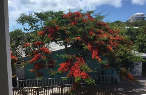 George Town Apartment | Island Dreams Condo Apt