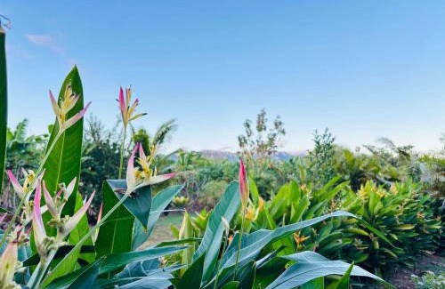 Rakiraki Other | Island Glamping at Nanumi Au Eco Village