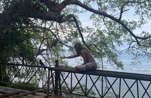 Ranong Hotel | Island Life Bungalows
