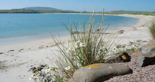 Lerwick Hostel | Islesburgh House Hostel