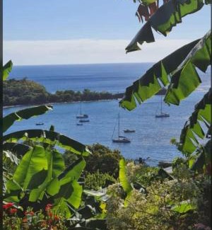 Bouillante Apartment | Issa Blue Appartement Vue sur Mer