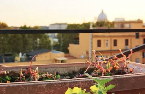 Vatican House | Motel ∙ 8 guests