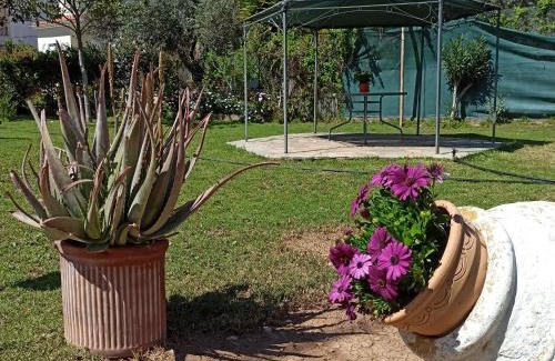 Itea House | Itea's Garden House