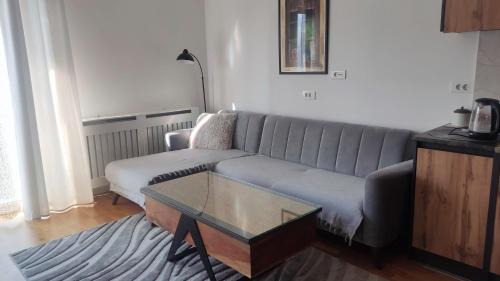 Alipasin Most Apartment | Ivan