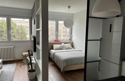 Zemun Apartment | Ivona’s place