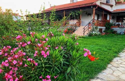 Alexandroupoli House | Ivonnis Garden