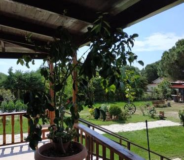 Alexandroupoli House | Ivonnis Garden