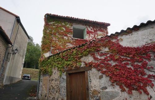 L'Isle-Jourdain House | Ivy house