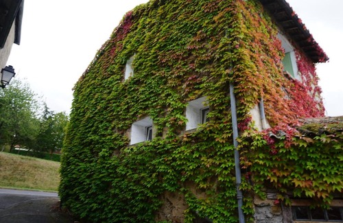L'Isle-Jourdain House | Ivy house