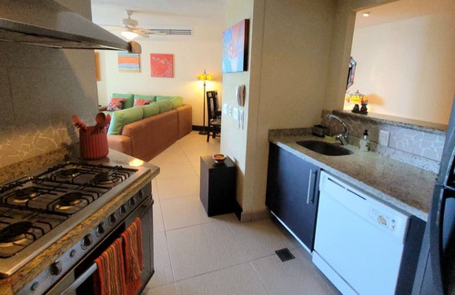 Ixtapa Condo | Ixtapa Paradise: 1 Bedroom, 2 Bath Condo at BVG Marina Stunning Sunset Views!