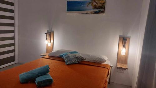 Coromandel Cabin | IZAVA LODGE