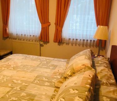 Trencianske Teplice House | Izba s kúpeľňou Florida
