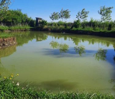 Nozicko Other | Izletište Camp Kruškik