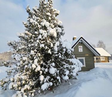 Valga House | Jõesuu saunamaja
