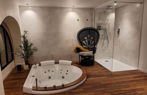 Ribeauville Apartment | Jacuzzi des Tanneurs