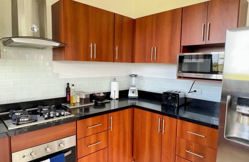 Valle Pura Vida Apartment | Jaguar: 2-Bedroom Ocean-View Penthouse in Villa Mar y Sol