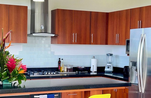 Valle Pura Vida Apartment | Jaguar: 2-Bedroom Ocean-View Penthouse in Villa Mar y Sol