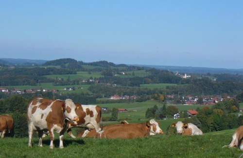 Frasdorf House | Jaklhof