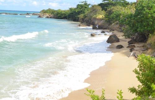 Lucea Apartment | Jamaica Tranquility